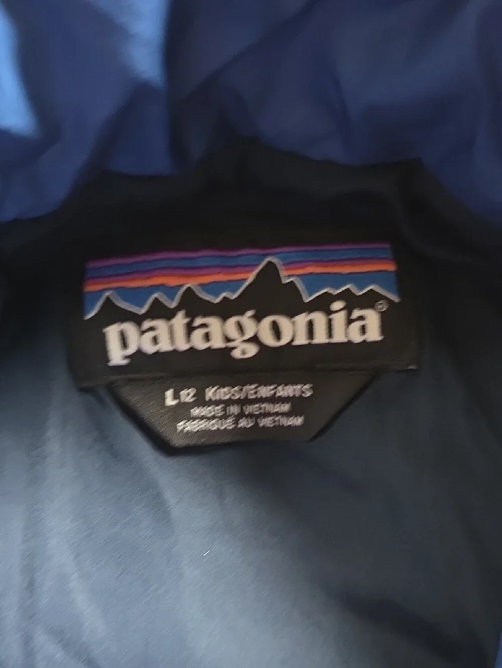 Patagonia Bright Blue Quilted Jacket